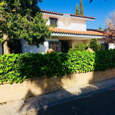 Villa Ferrer Sevilla Ginés 外观 照片