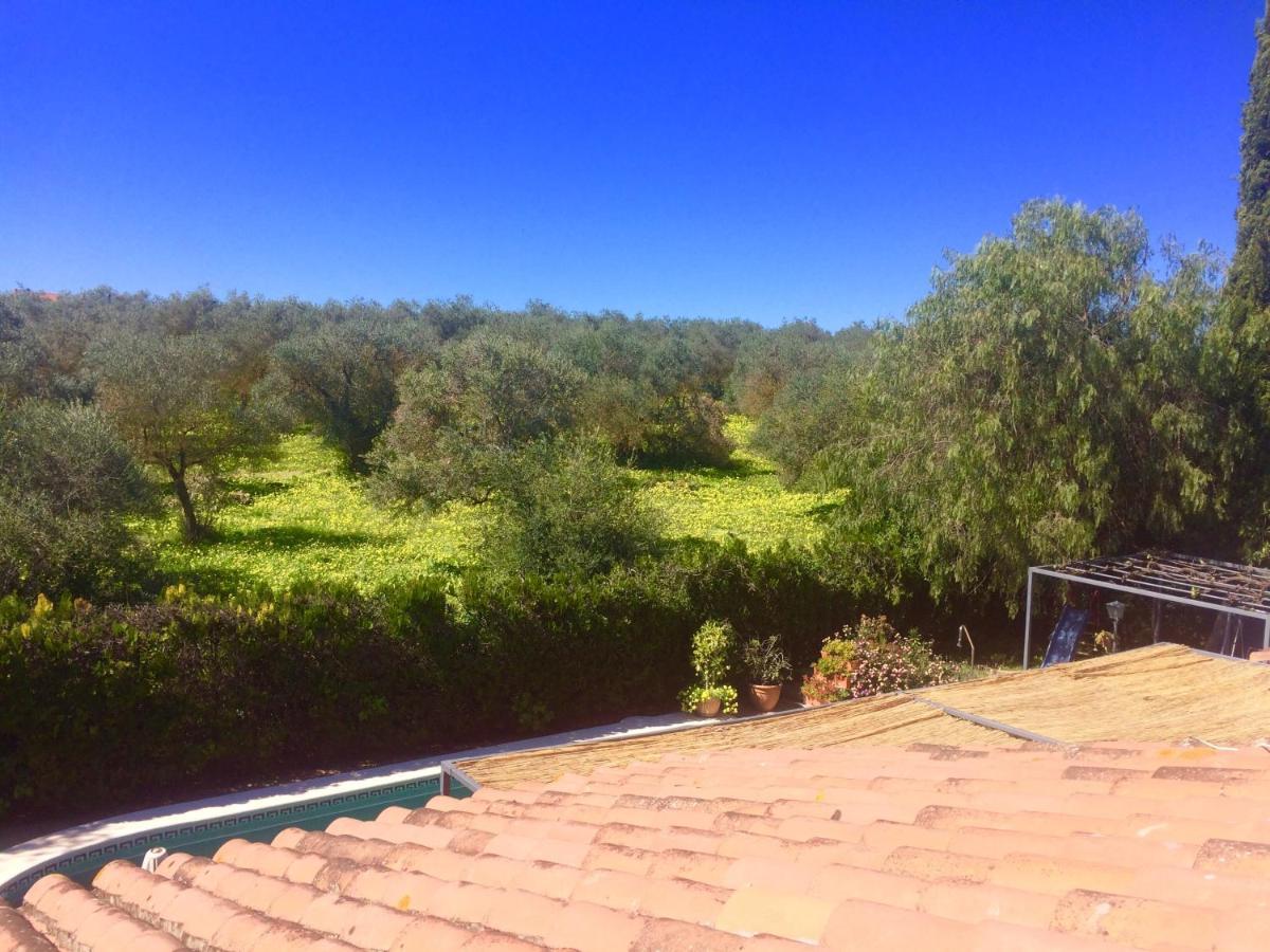 Villa Ferrer Sevilla Ginés 外观 照片