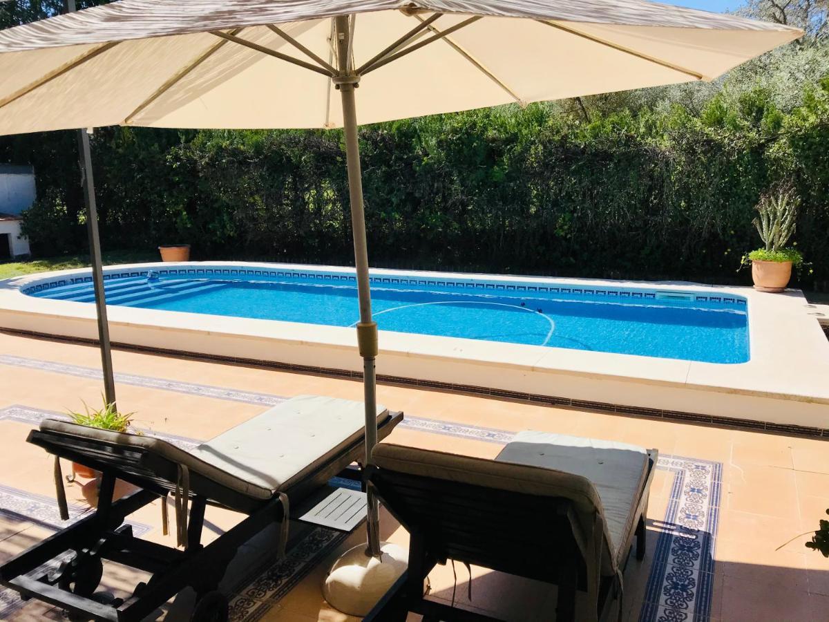 Villa Ferrer Sevilla Ginés 外观 照片