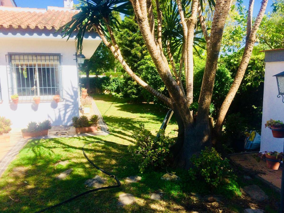 Villa Ferrer Sevilla Ginés 外观 照片