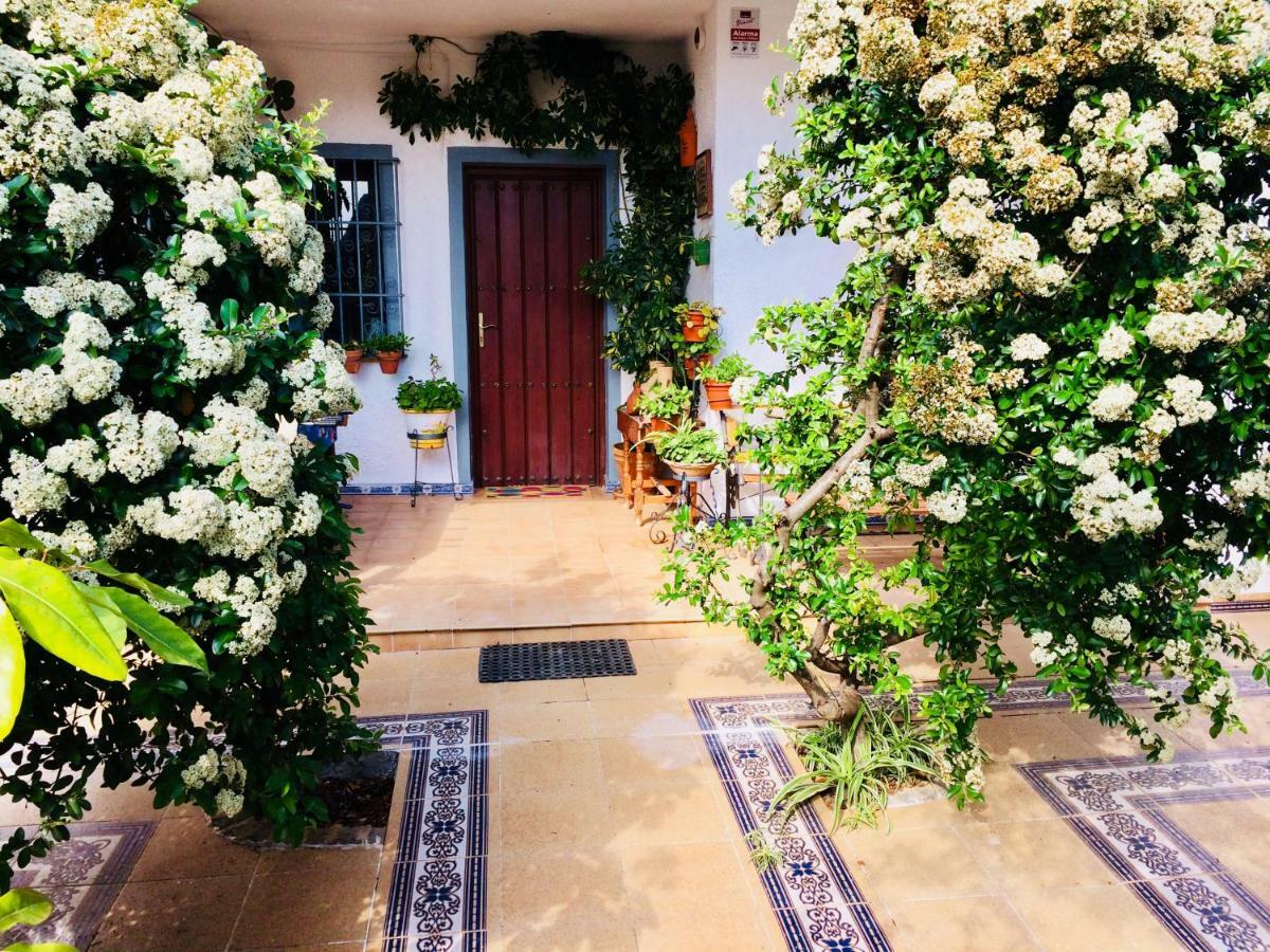 Villa Ferrer Sevilla Ginés 外观 照片