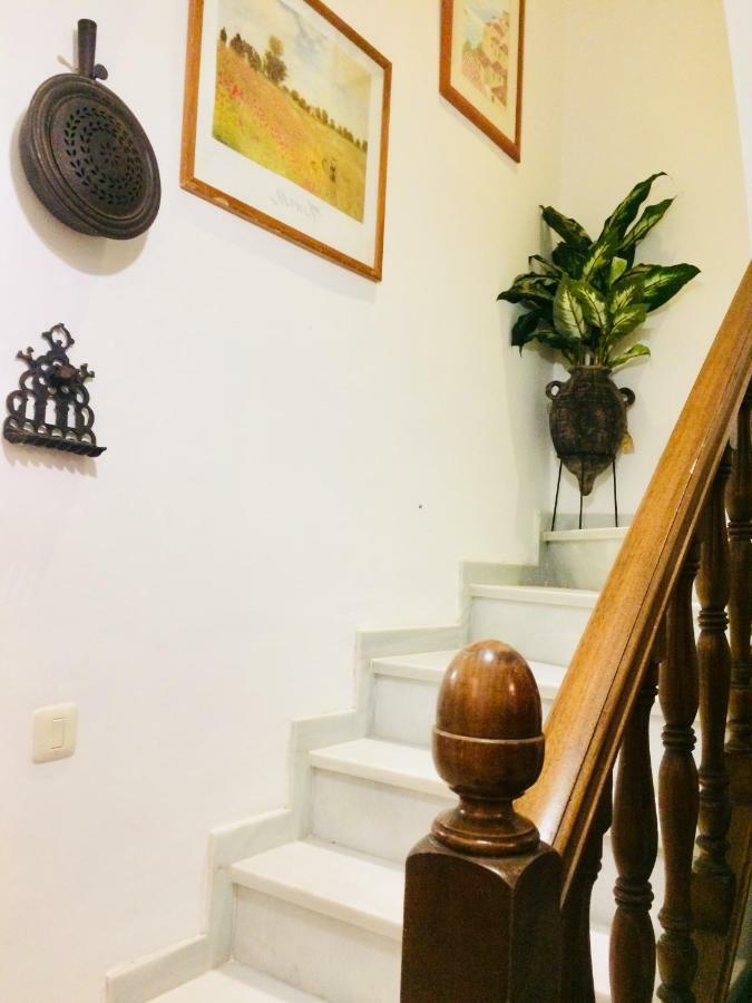 Villa Ferrer Sevilla Ginés 外观 照片