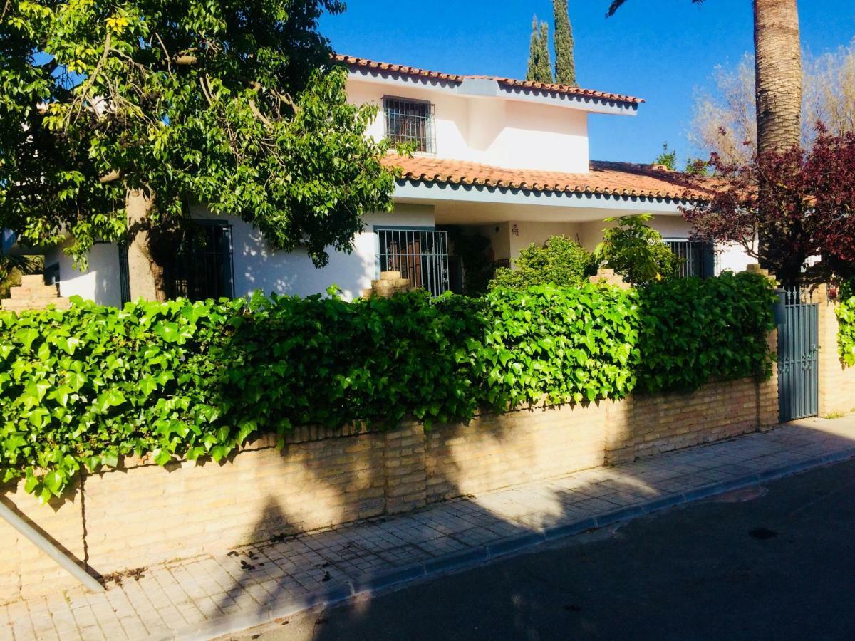 Villa Ferrer Sevilla Ginés 外观 照片