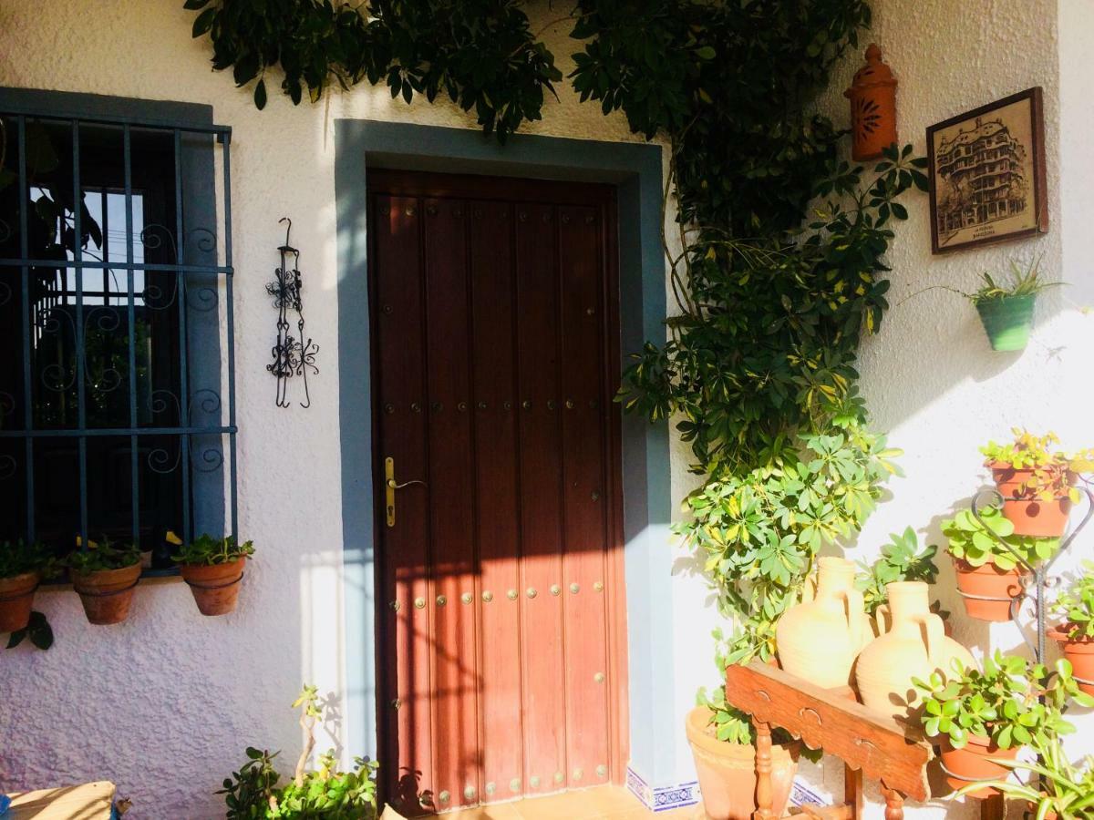 Villa Ferrer Sevilla Ginés 外观 照片